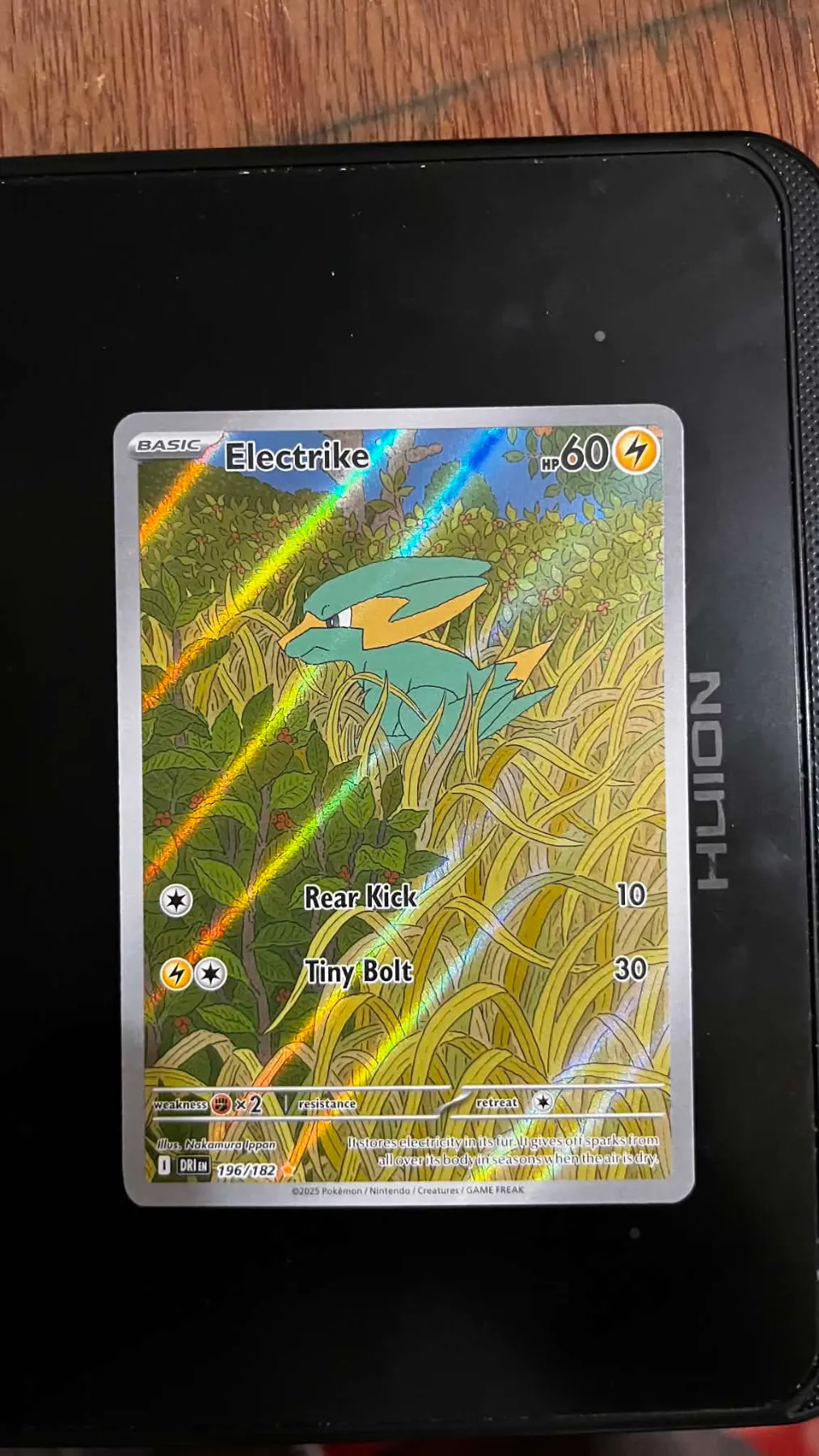 Electrike 196/182 Destined Rivals front card photo in PokeToGrade pregrading report