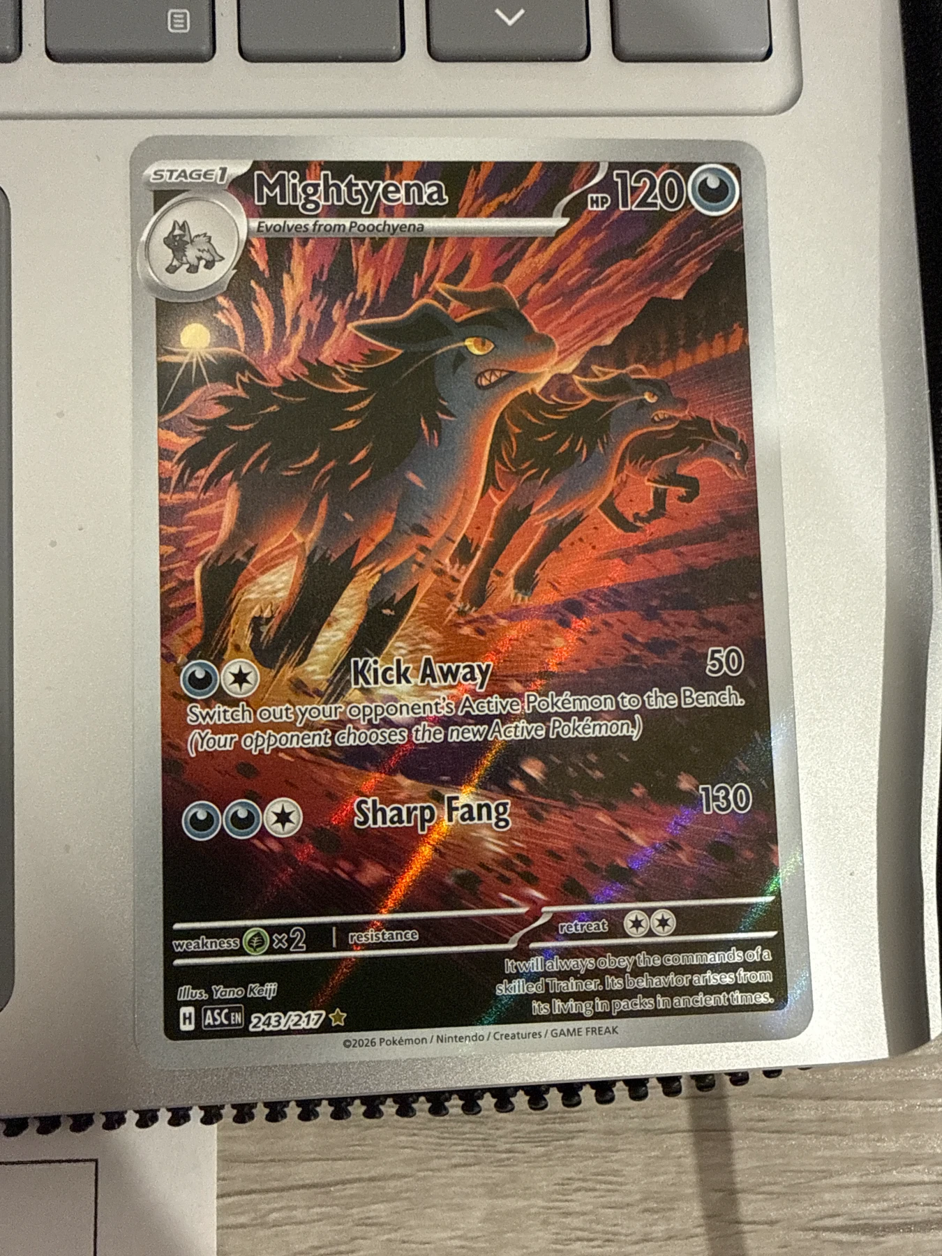 Mightyena 243/217 Ascended Heroes front card photo in PokeToGrade pregrading report