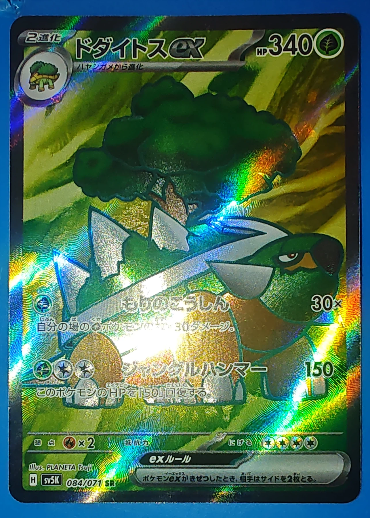 Garchomp V 084/67 Battle Region front card photo in PokeToGrade pregrading report