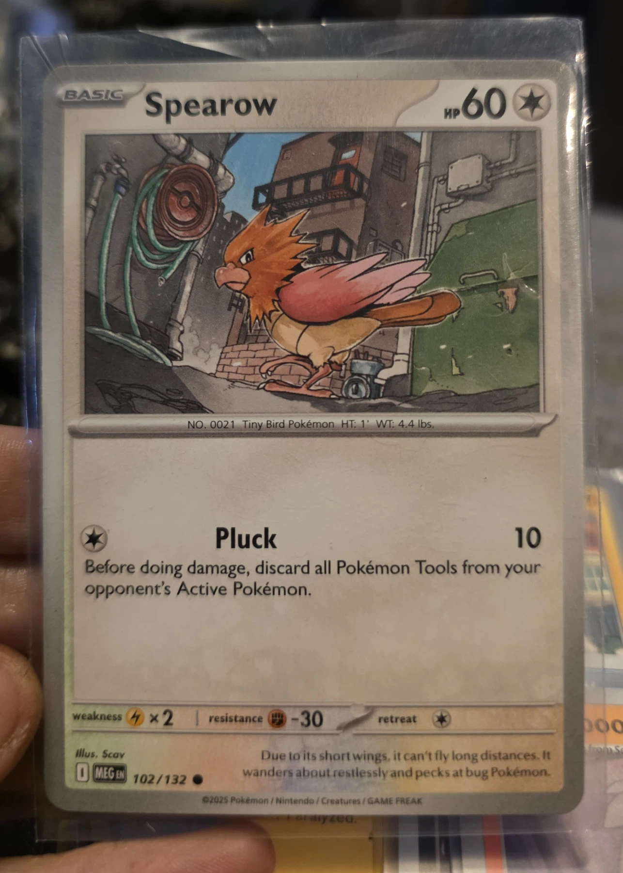 Spearow 102/132 Mega Evolution front card photo in PokeToGrade pregrading report