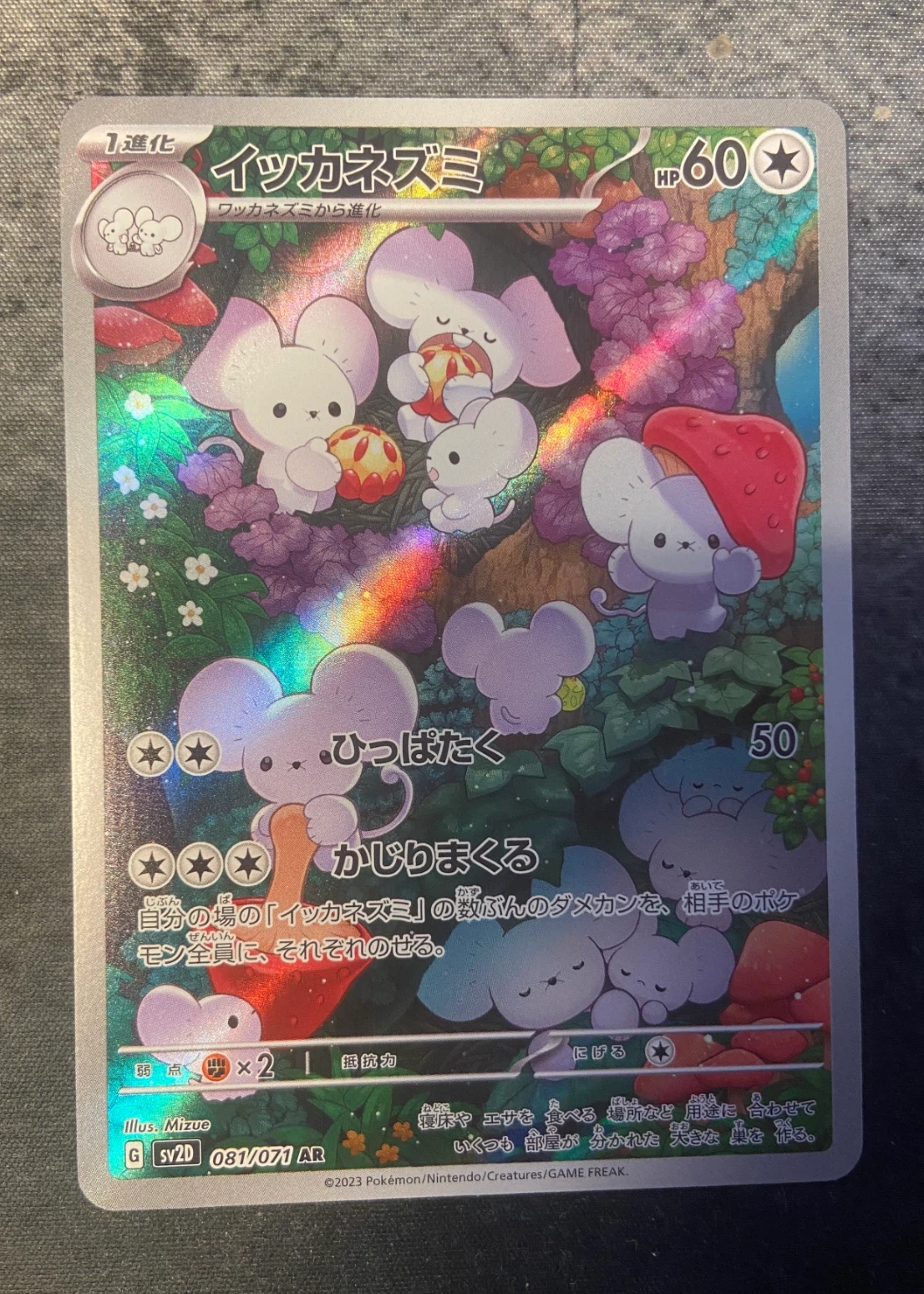 Maushold 081/71 Clay Burst front card photo in PokeToGrade pregrading report
