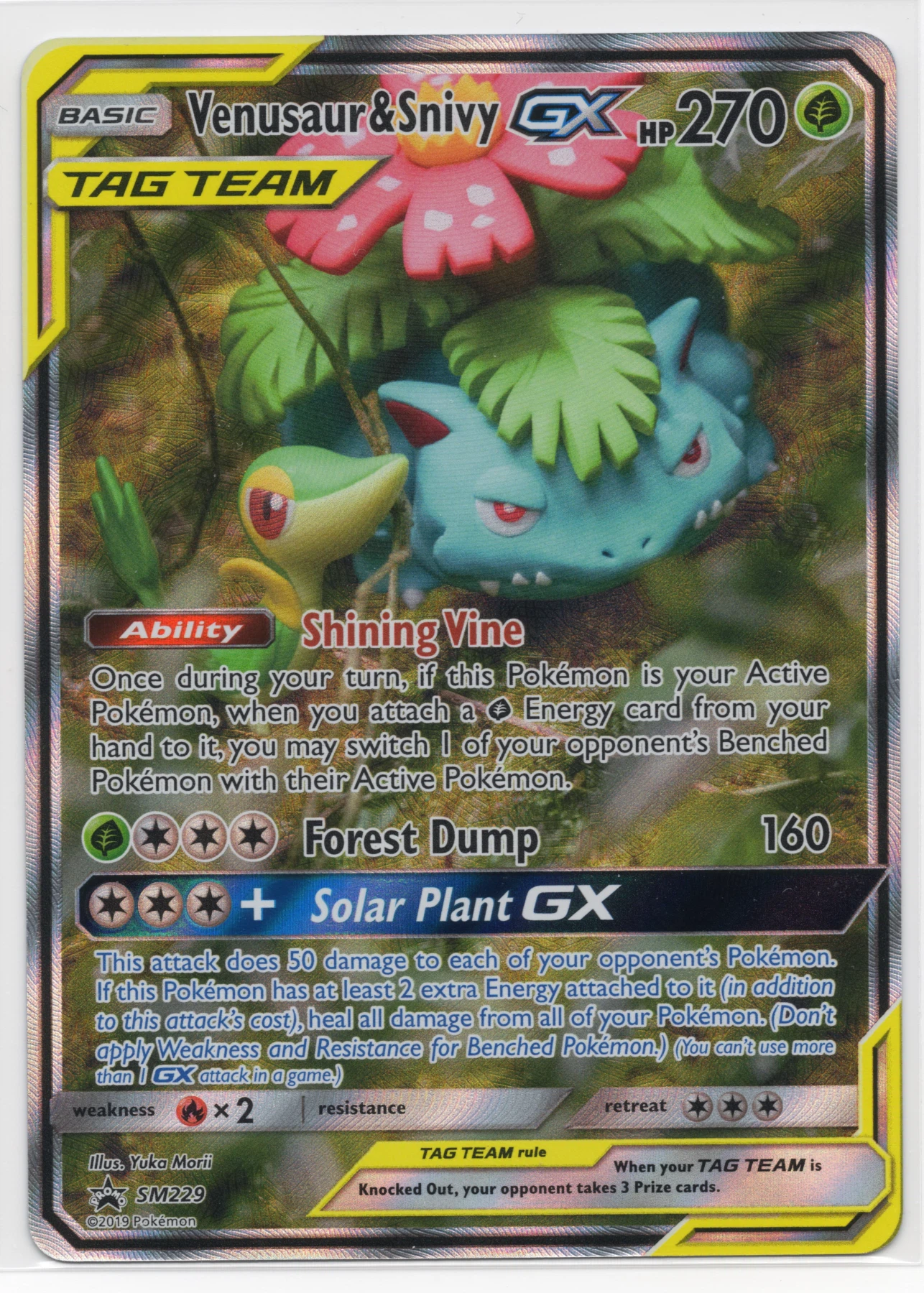 Venusaur & Snivy GX SM229/248 SM Black Star Promos front card photo in PokeToGrade pregrading report