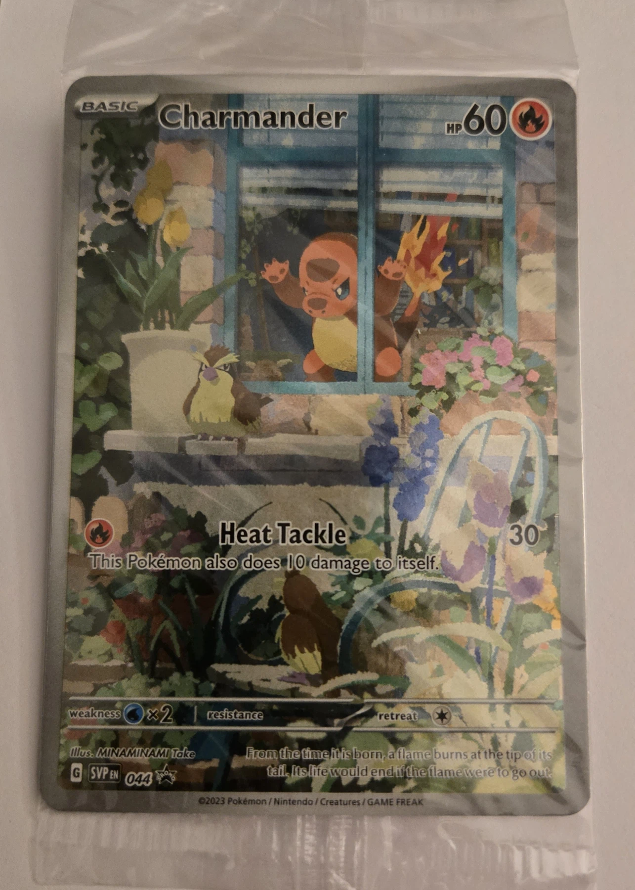 Charmander 044/225 SVP Black Star Promos front card photo in PokeToGrade pregrading report