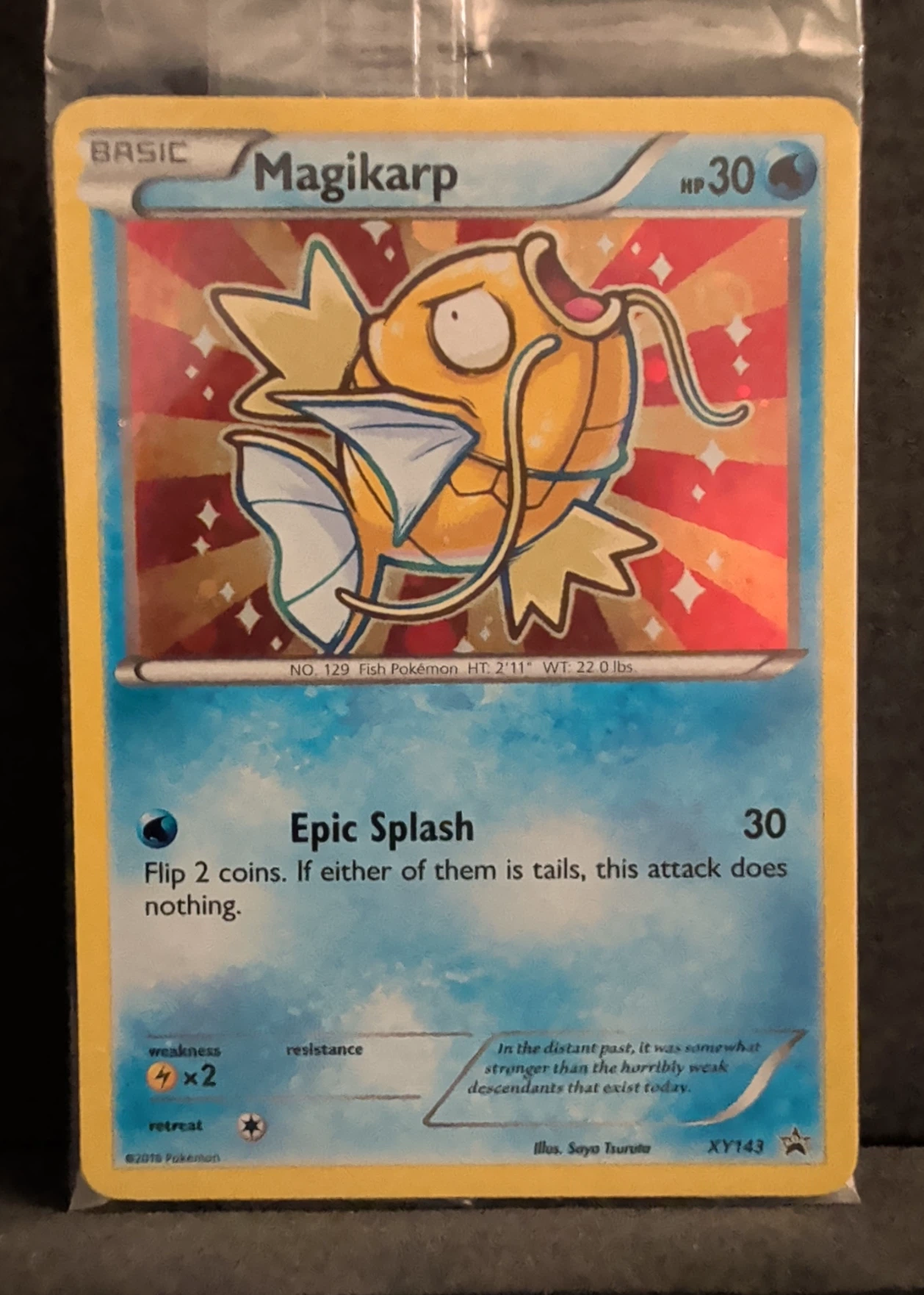 Magikarp XY143/211 XY Black Star Promos front card photo in PokeToGrade pregrading report