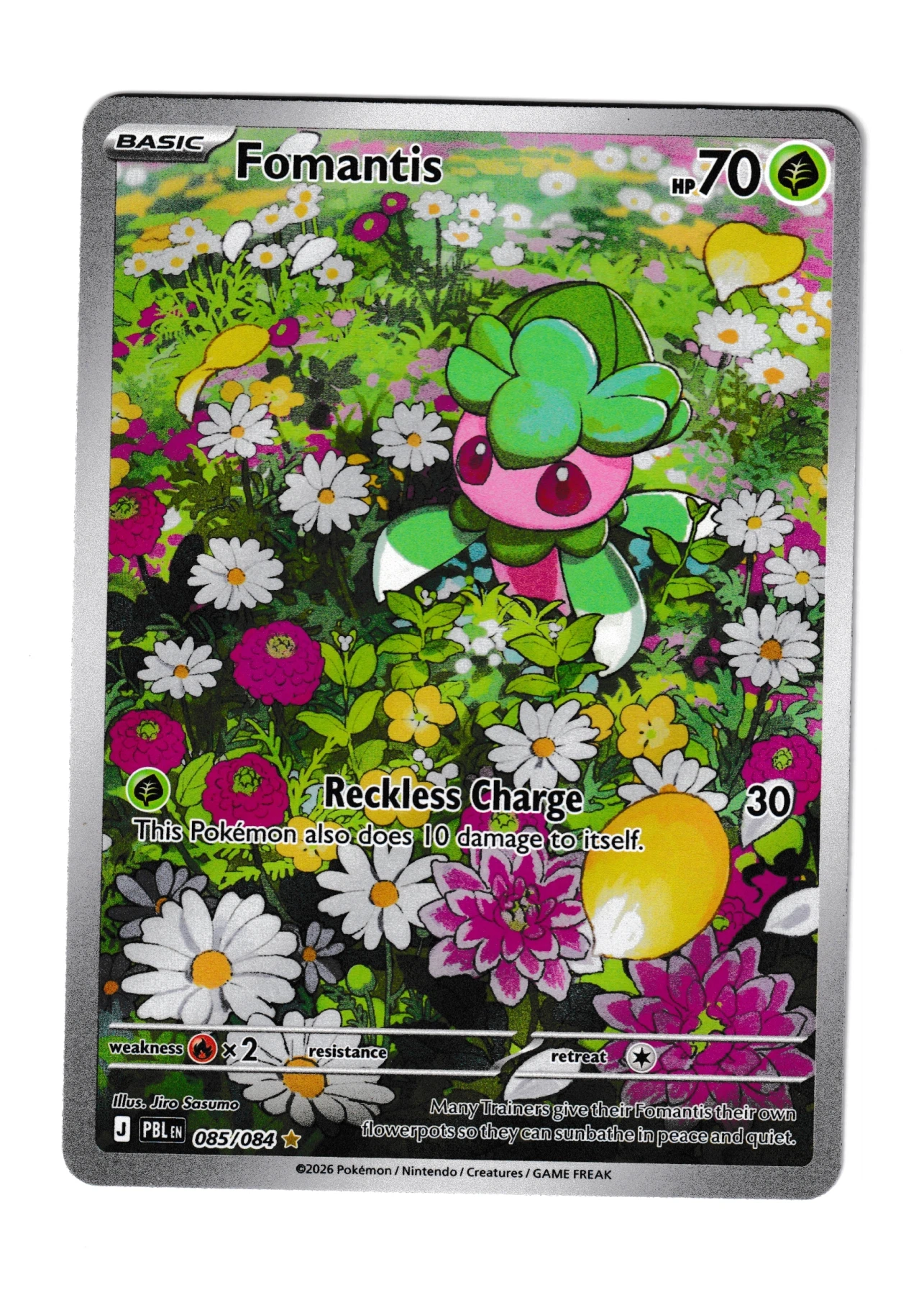 Fomantis 085/84 Pitch Black front card photo in PokeToGrade pregrading report