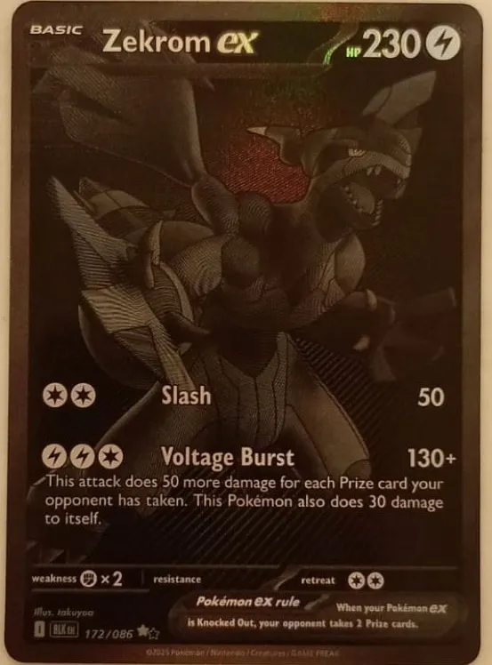 Zekrom ex 172/86 Black Bolt front card photo in PokeToGrade pregrading report