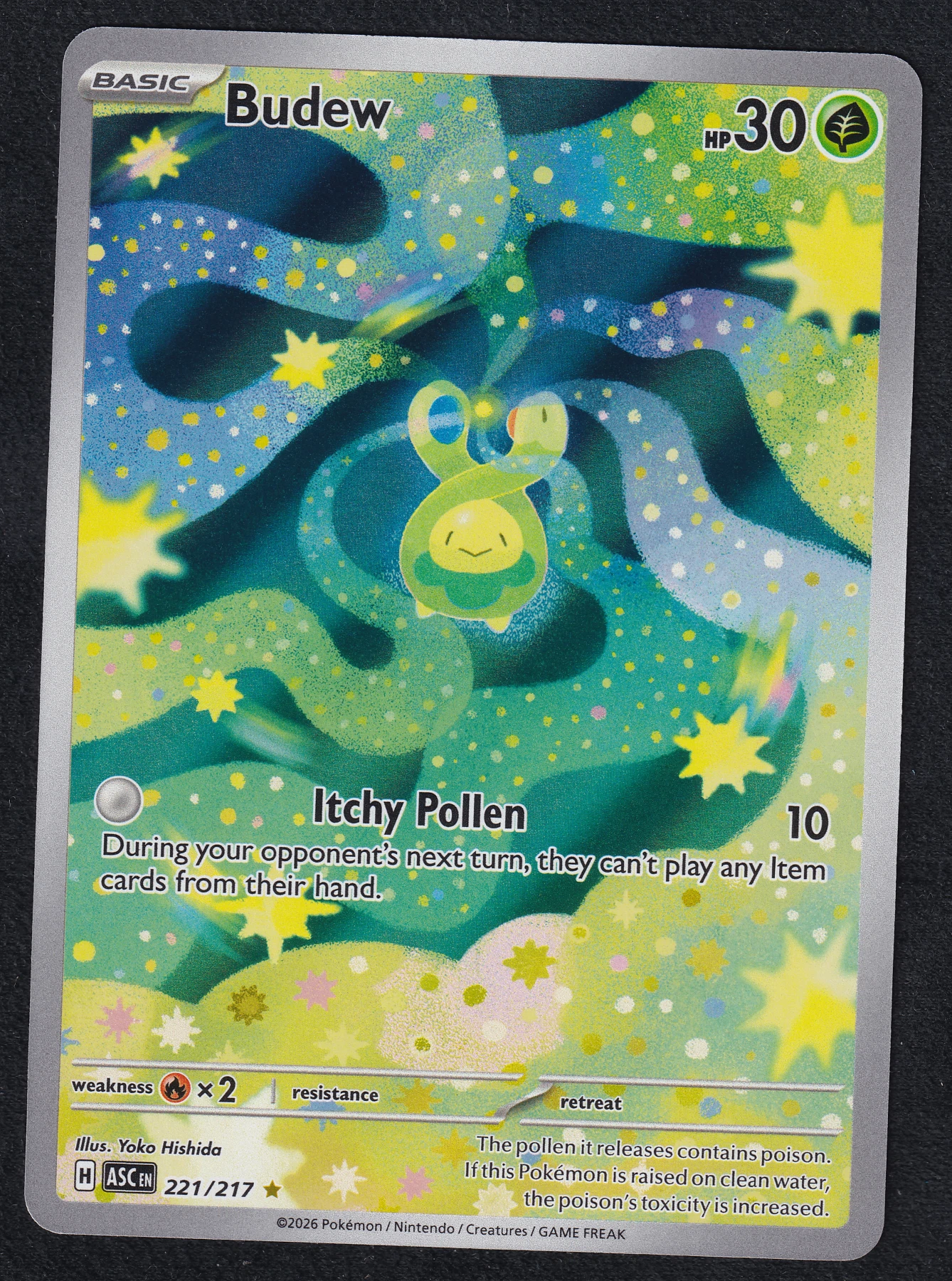 Budew 221/217 Ascended Heroes front card photo in PokeToGrade pregrading report
