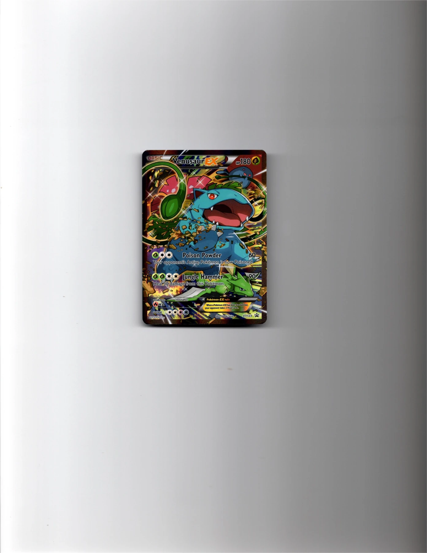Venusaur EX XY123/211 XY Black Star Promos front card photo in PokeToGrade pregrading report