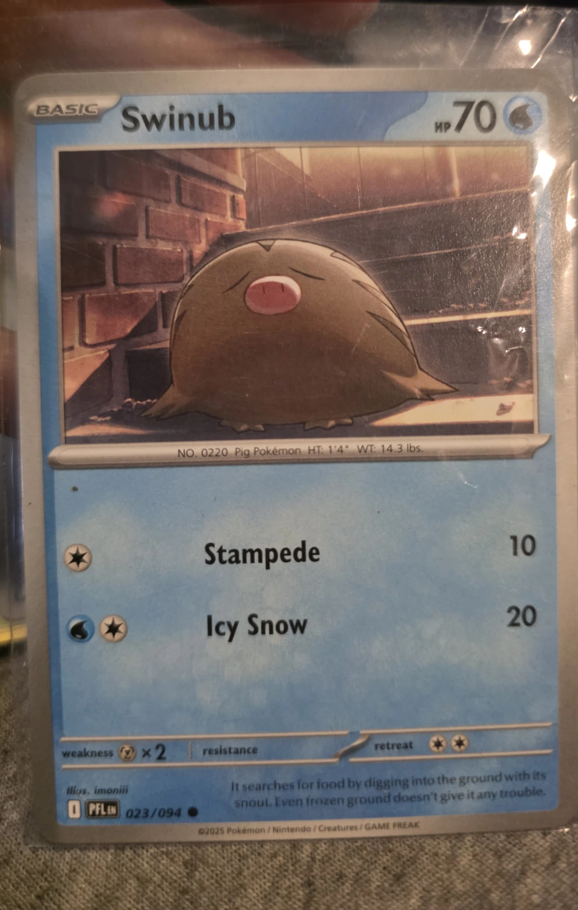 Swinub 023/94 Phantasmal Flames front card photo in PokeToGrade pregrading report
