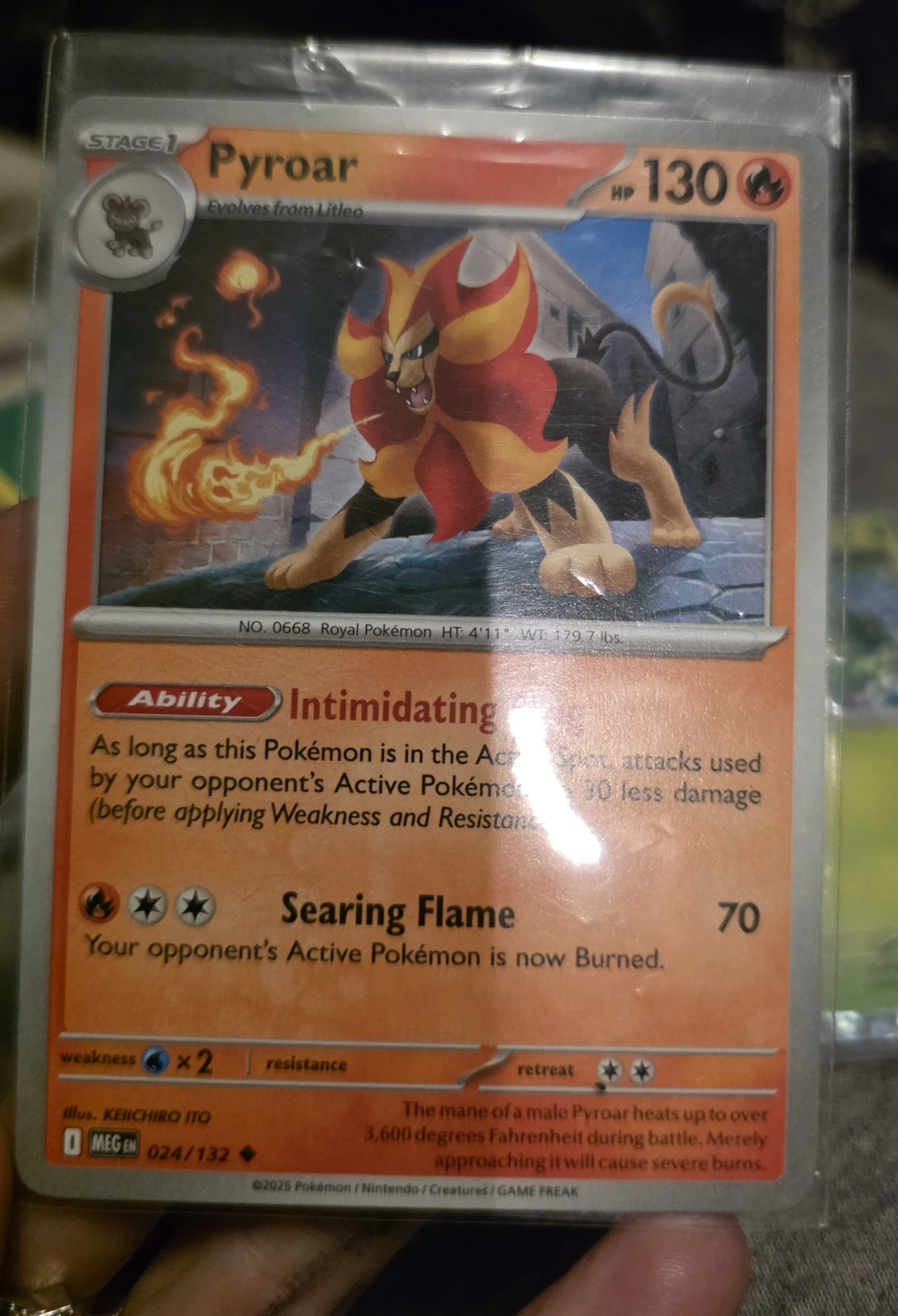 Pyroar 024/132 Mega Evolution front card photo in PokeToGrade pregrading report