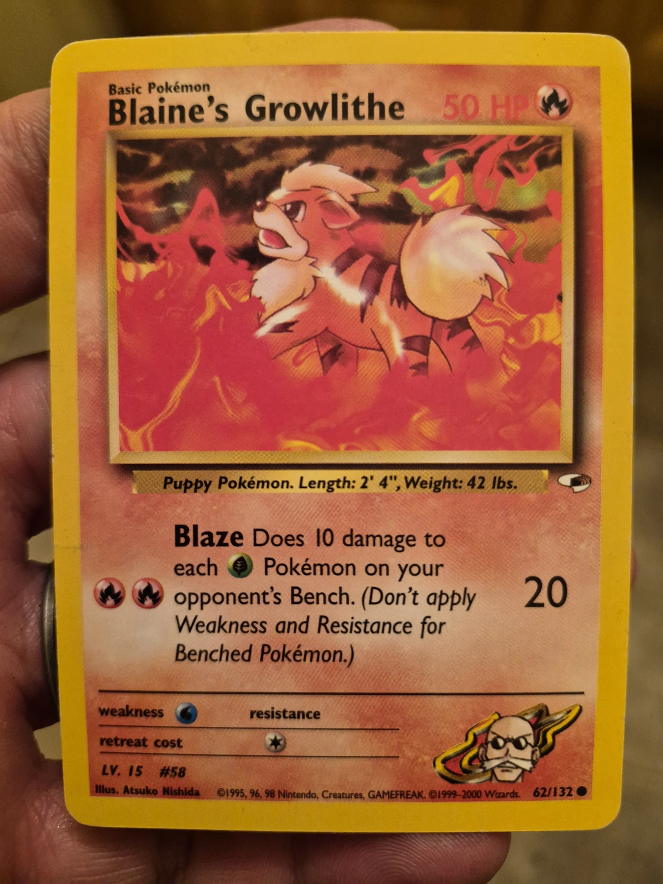 Blaine's Growlithe 062/132 Gym Heroes front card photo in PokeToGrade pregrading report