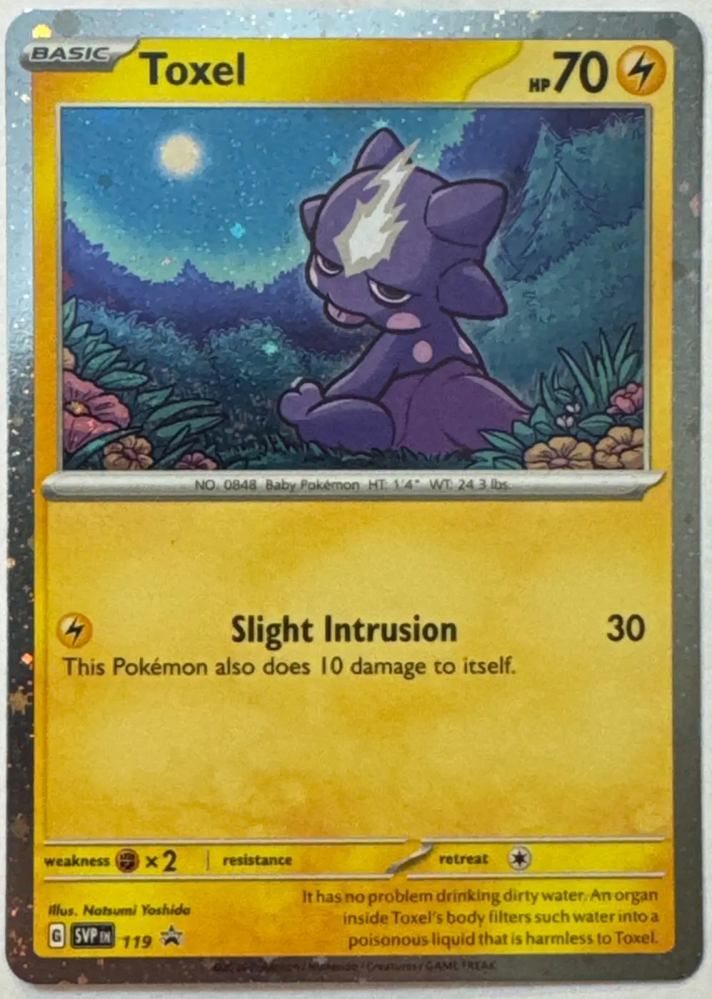 Toxel 119/225 SVP Black Star Promos front card photo in PokeToGrade pregrading report