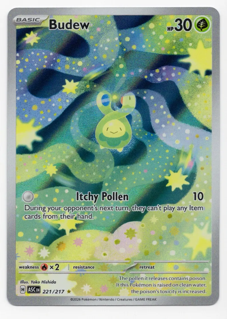 Budew 221/217 Ascended Heroes front card photo in PokeToGrade pregrading report