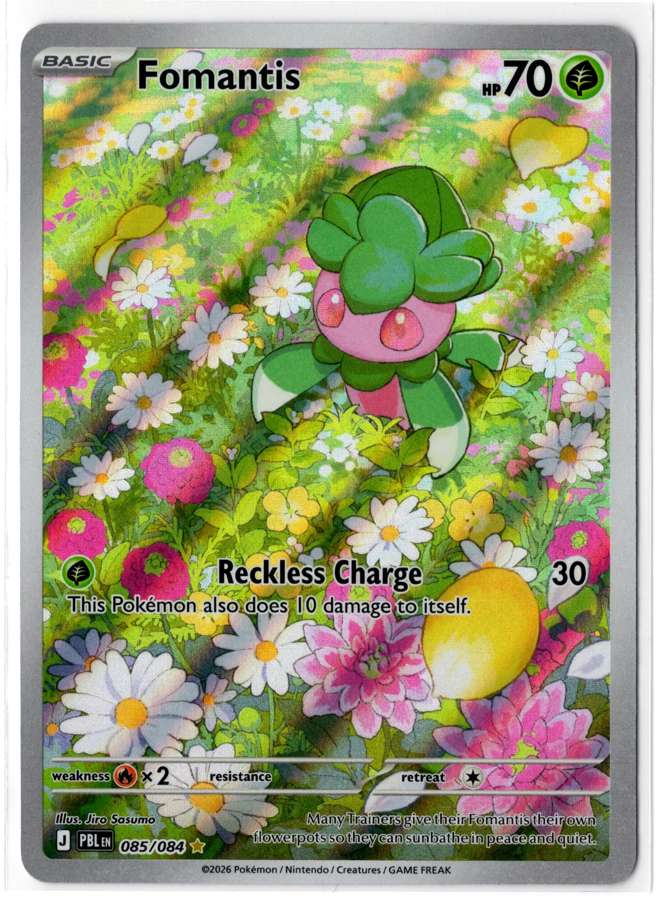 Fomantis 085/84 Pitch Black front card photo in PokeToGrade pregrading report